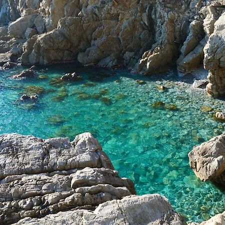 Il Cuore Di Moneglia - Moneglia Apartments 외부 사진