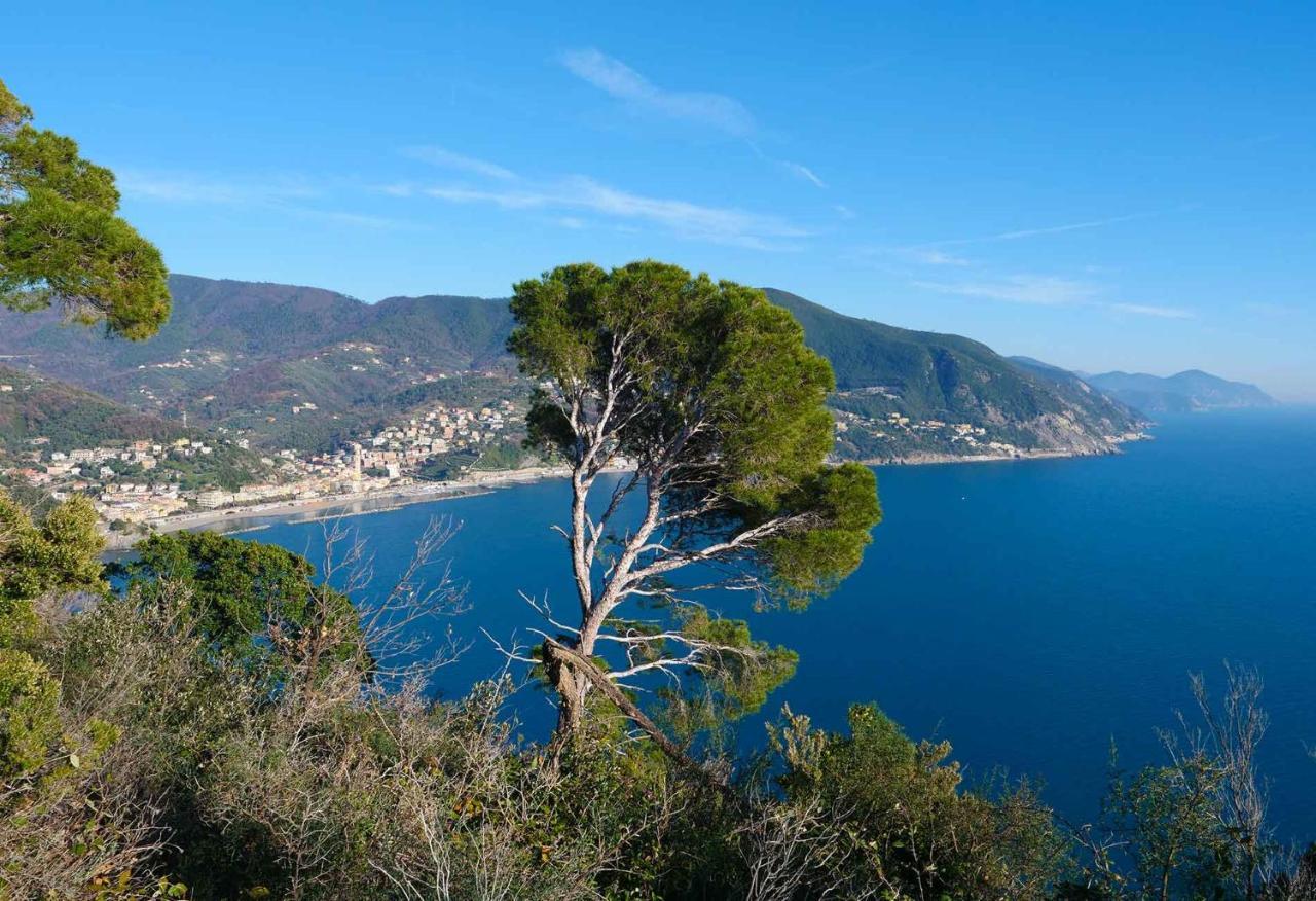 Il Cuore Di Moneglia - Moneglia Apartments 외부 사진